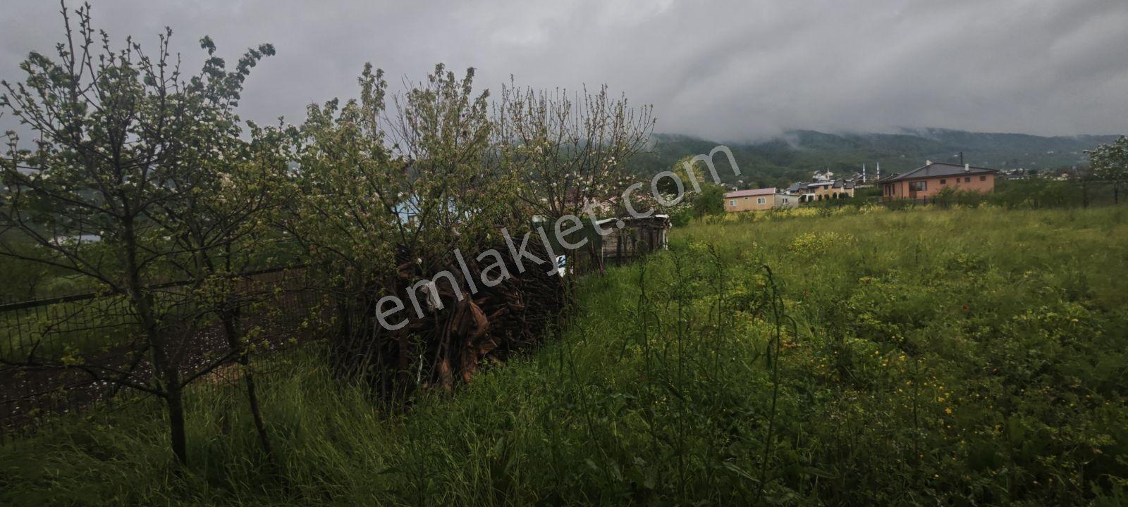 Müstakil Tapu 3 Katlı 3 Daireden Oluşan Bahceli Evler - Görsel 16