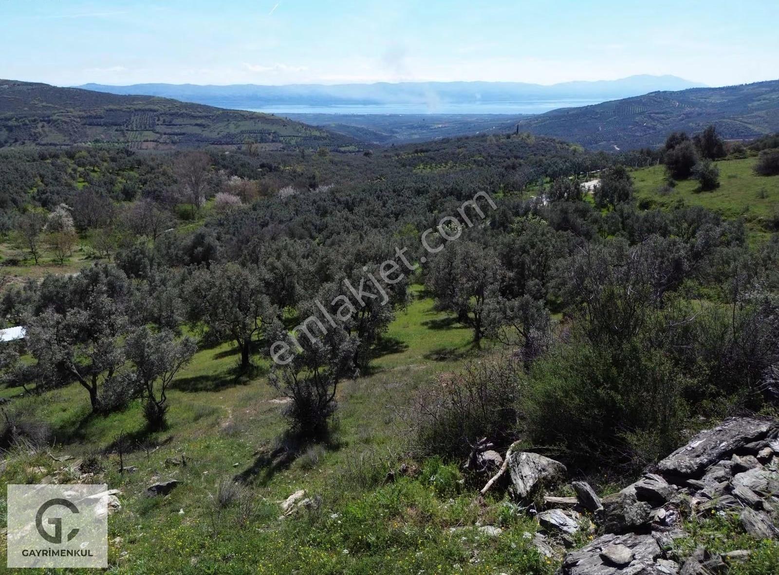 Gc Gayrimenkul'den Satılık Bursa İznik 1.601m2 Arsa - Görsel 14