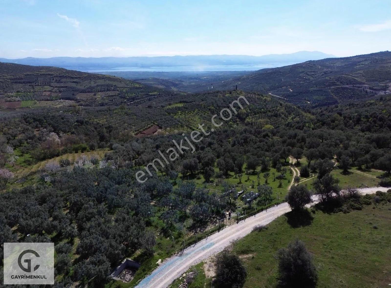 Gc Gayrimenkul'den Satılık Bursa İznik 1.601m2 Arsa - Görsel 2