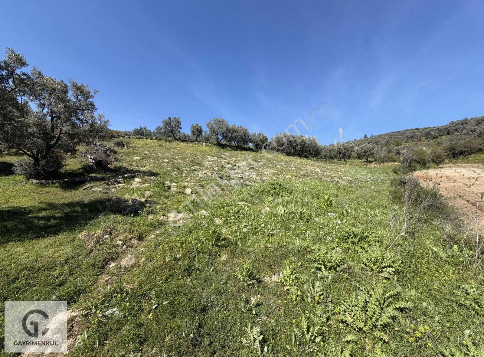 Gc Gayrimenkul'den Satılık Bursa İznik 1.601m2 Arsa - Görsel 15