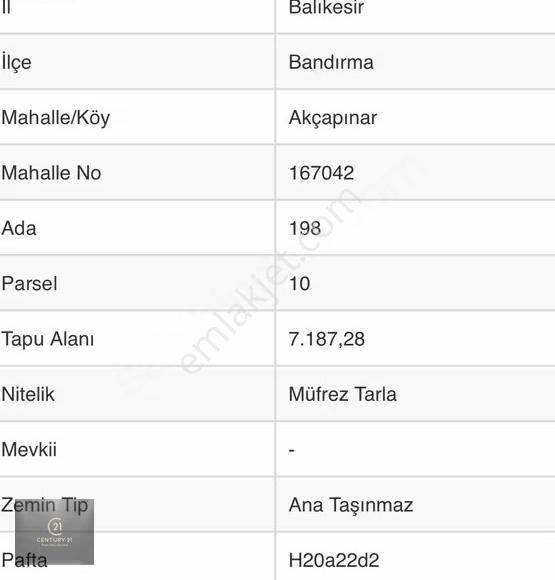 Bandırma Akçapınarda Asfalta Sıfır 7.187 M² Yatırımlık Tarla