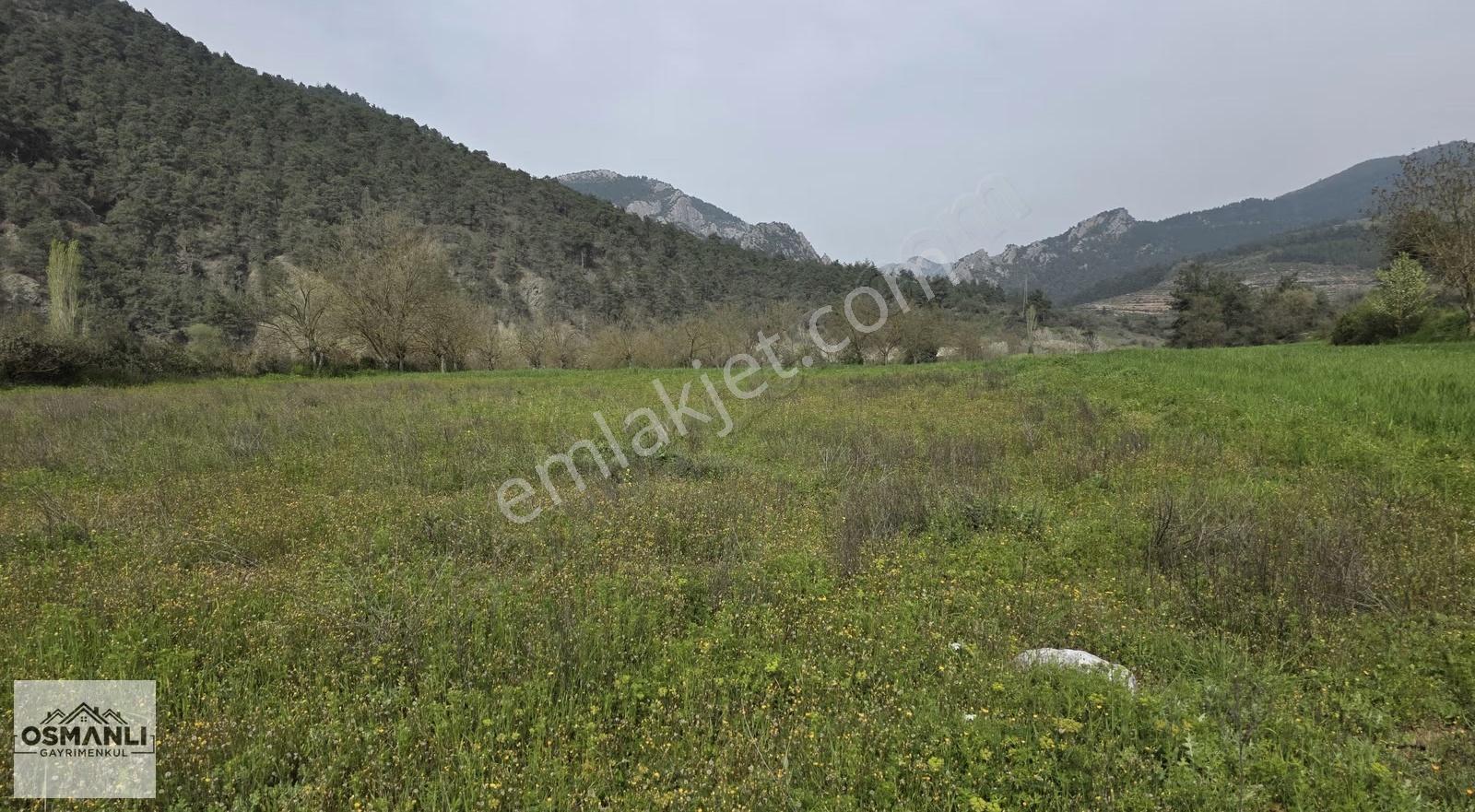 Göksu Nehri Kenarında 2.600 M2 Resmi Yollu Düz Arazi- Osmanlıdan - Görsel 2