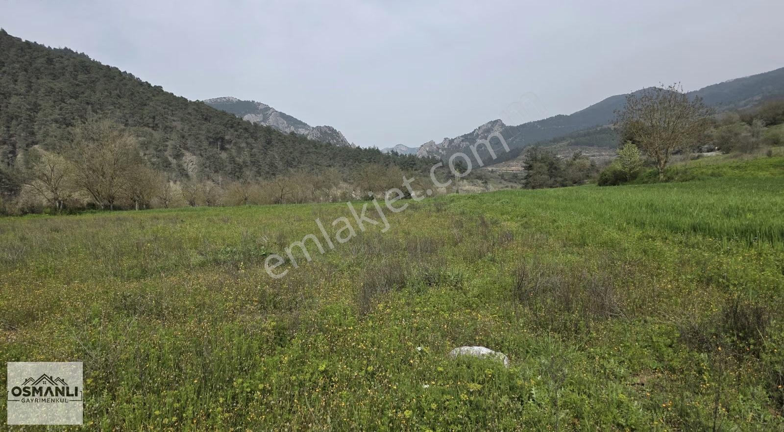 Göksu Nehri Kenarında 2.600 M2 Resmi Yollu Düz Arazi- Osmanlıdan - Görsel 9