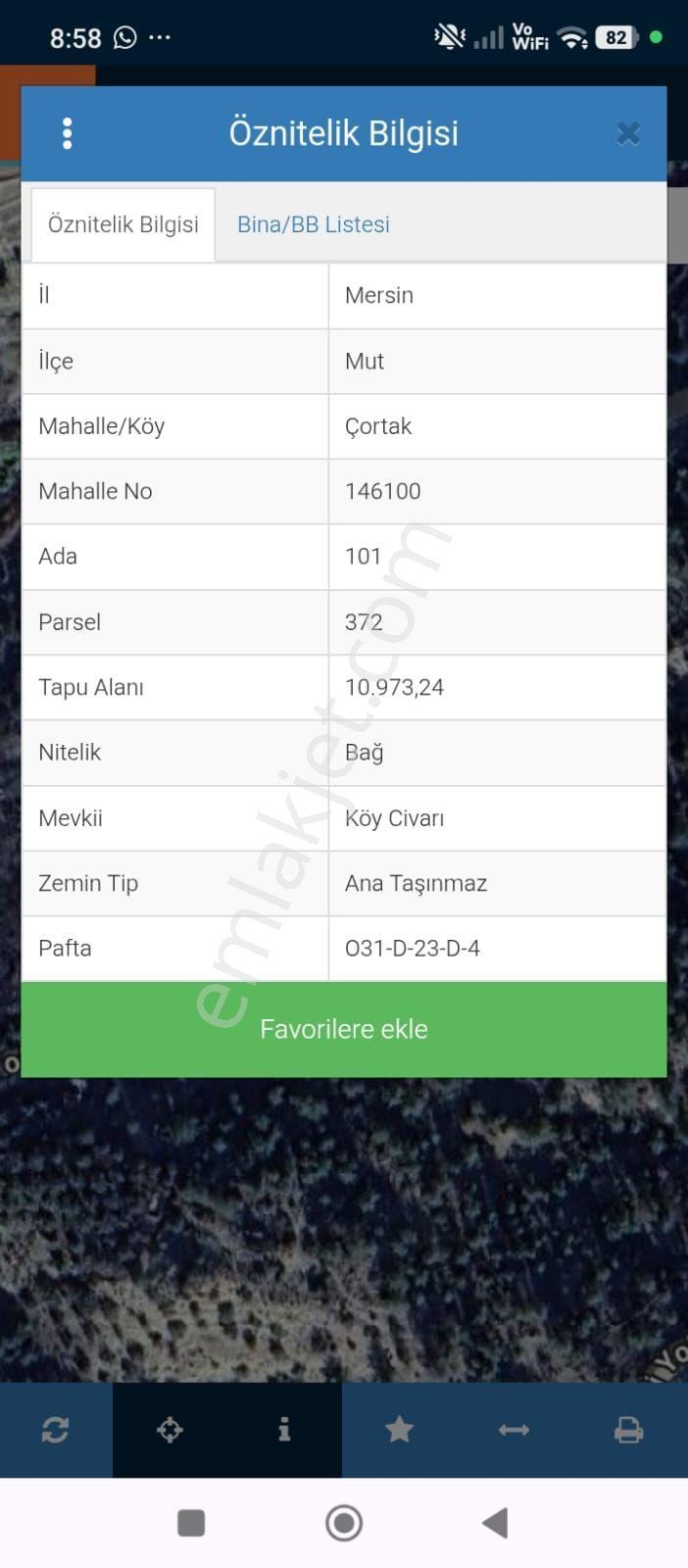 Acil Satılık Domat Zeytin Bahçesi - Görsel 5