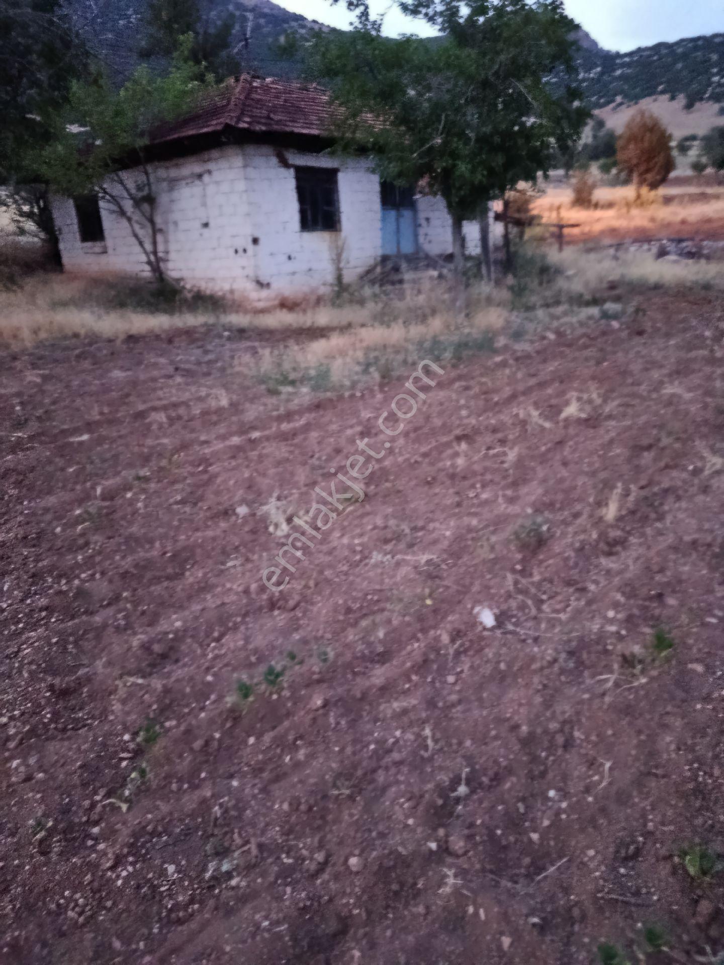 Denizli Acıpayam Bademli Satılık Ev Tarla - Görsel 24