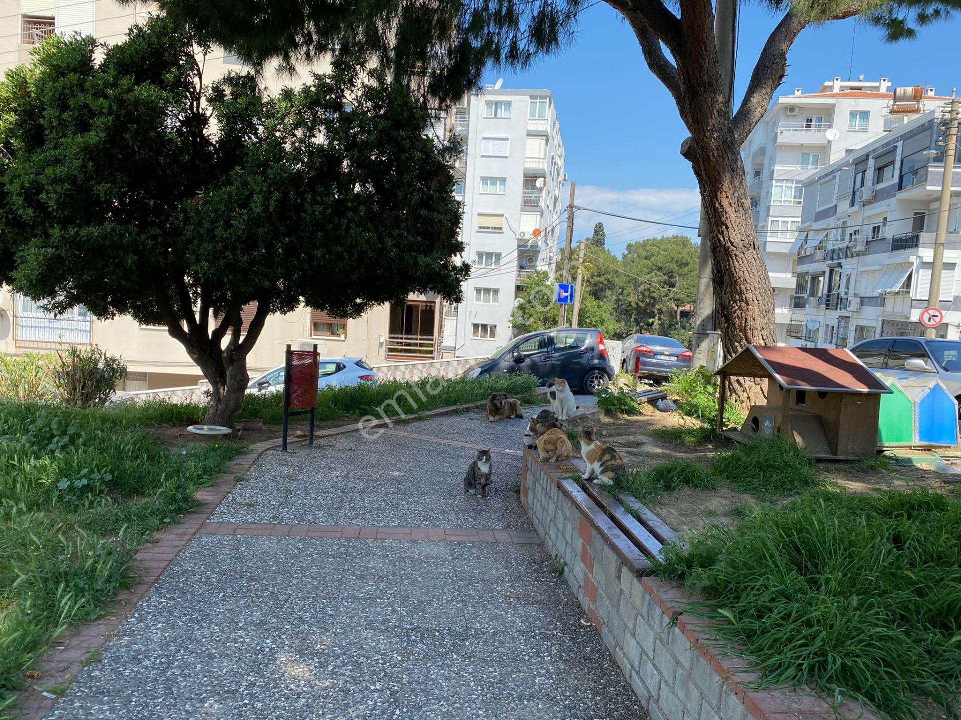 Amerikankoleji Göztepe Metro Cadde Yakını Park Manzaralı - Görsel 4