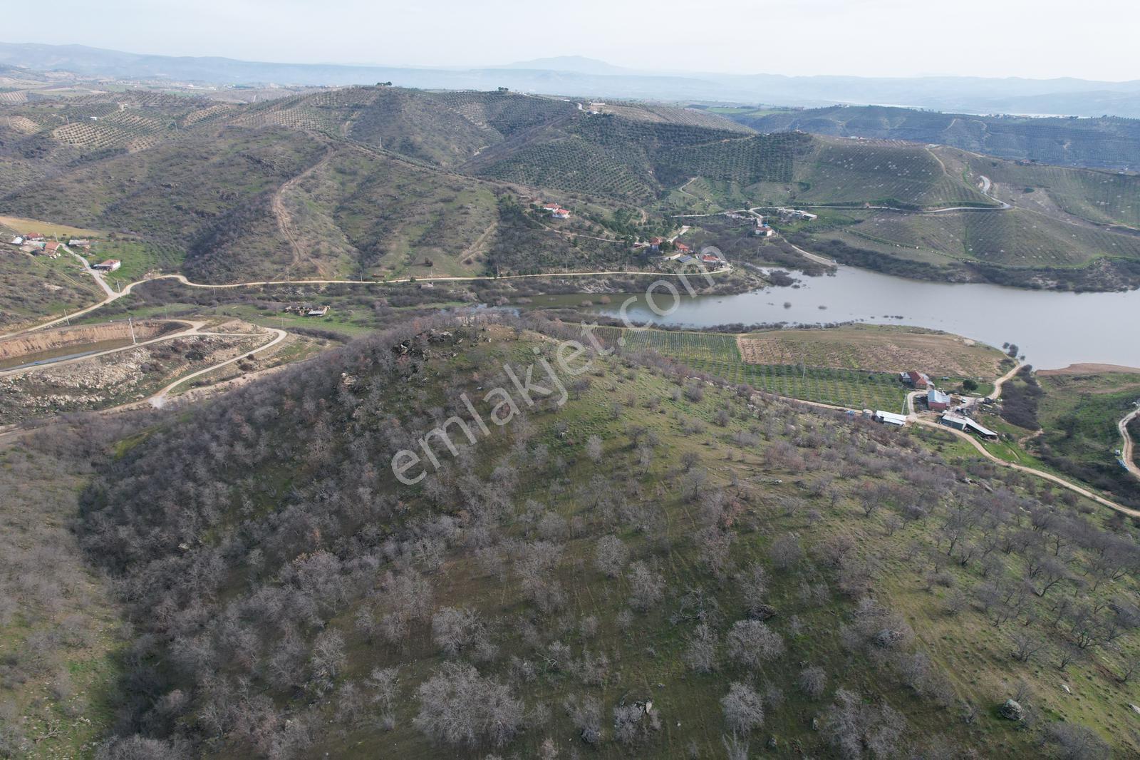 Köprübaşı Barajı Manzaralı Uygun Fiyatlı 22.000m2 Tarla - Görsel 3