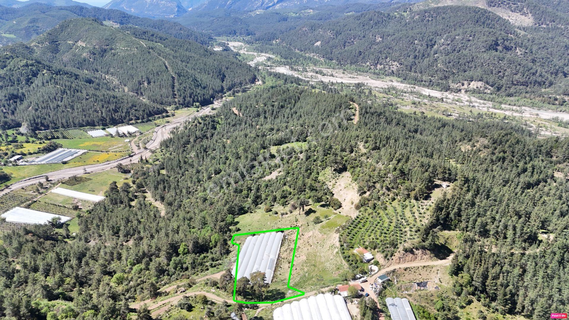 Antalya Kumluca Karacaörende Satılık Sera - Görsel 2