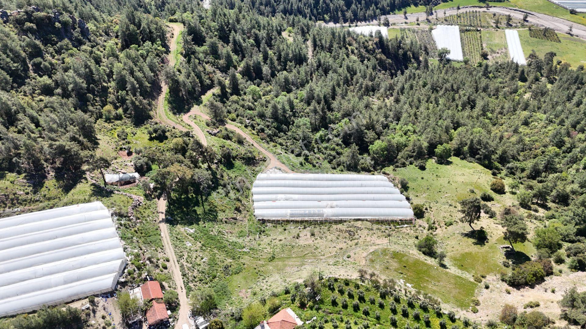 Antalya Kumluca Karacaörende Satılık Sera - Görsel 18