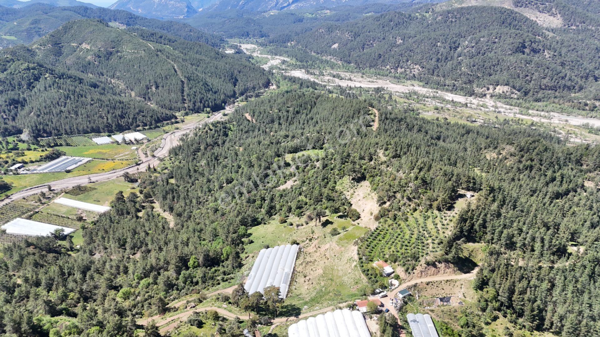 Antalya Kumluca Karacaörende Satılık Sera - Görsel 11