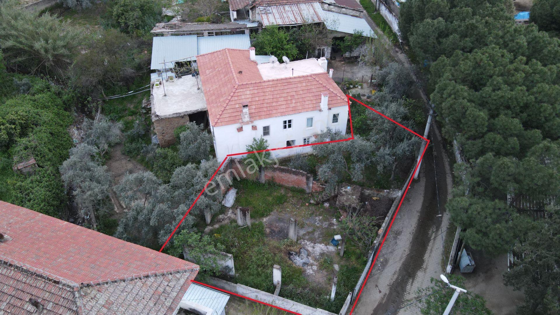 Aydın Çine Camızağılı Köyü 233 M² Köşe Parsel Köy İçi Satılık Arsa
