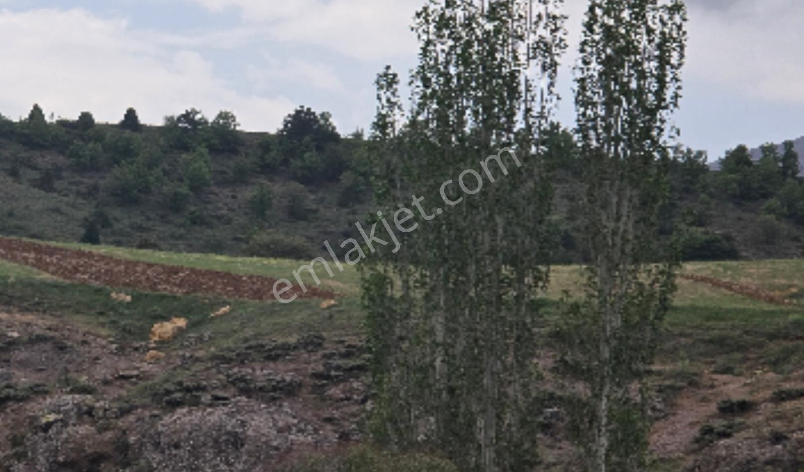 Erciyes'te, Develi'de 774 M² Bahçe - İstanbul'da Tapu Teslim - Görsel 5
