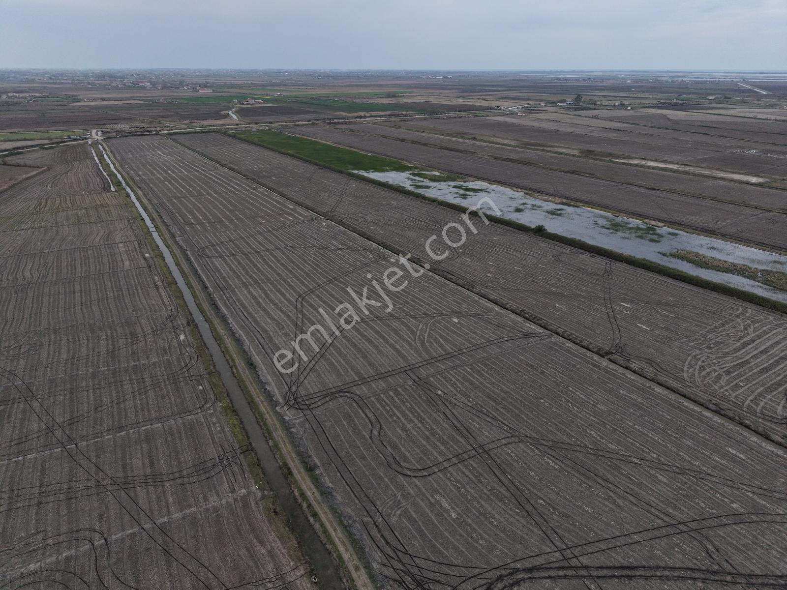 Bafra Vıp Gayrimenkulden Sarıköy De 235.000m2 Satılık Tarla - Görsel 21