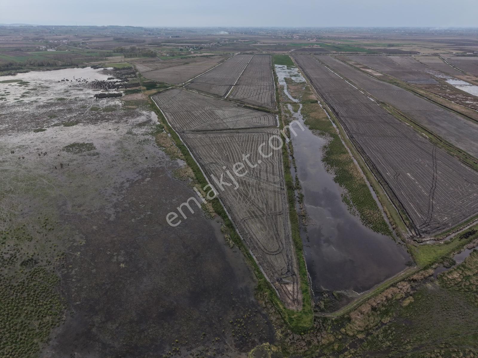 Bafra Vıp Gayrimenkulden Sarıköy De 235.000m2 Satılık Tarla - Görsel 15