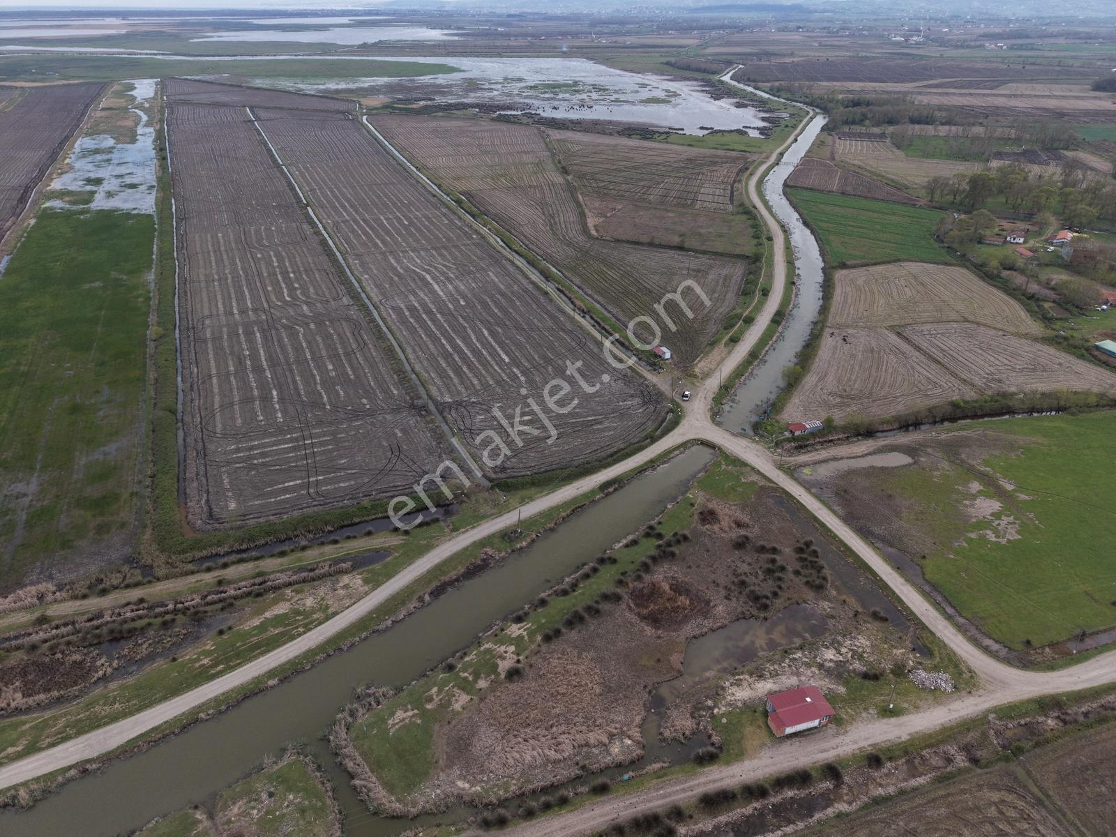Bafra Vıp Gayrimenkulden Sarıköy De 235.000m2 Satılık Tarla - Görsel 5