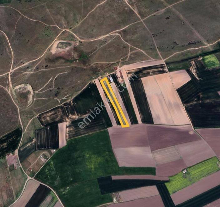Tekirdağ Ergene Yulaflıda 5.720 M² Mera Arkası Fırsat Arazi - Görsel 2