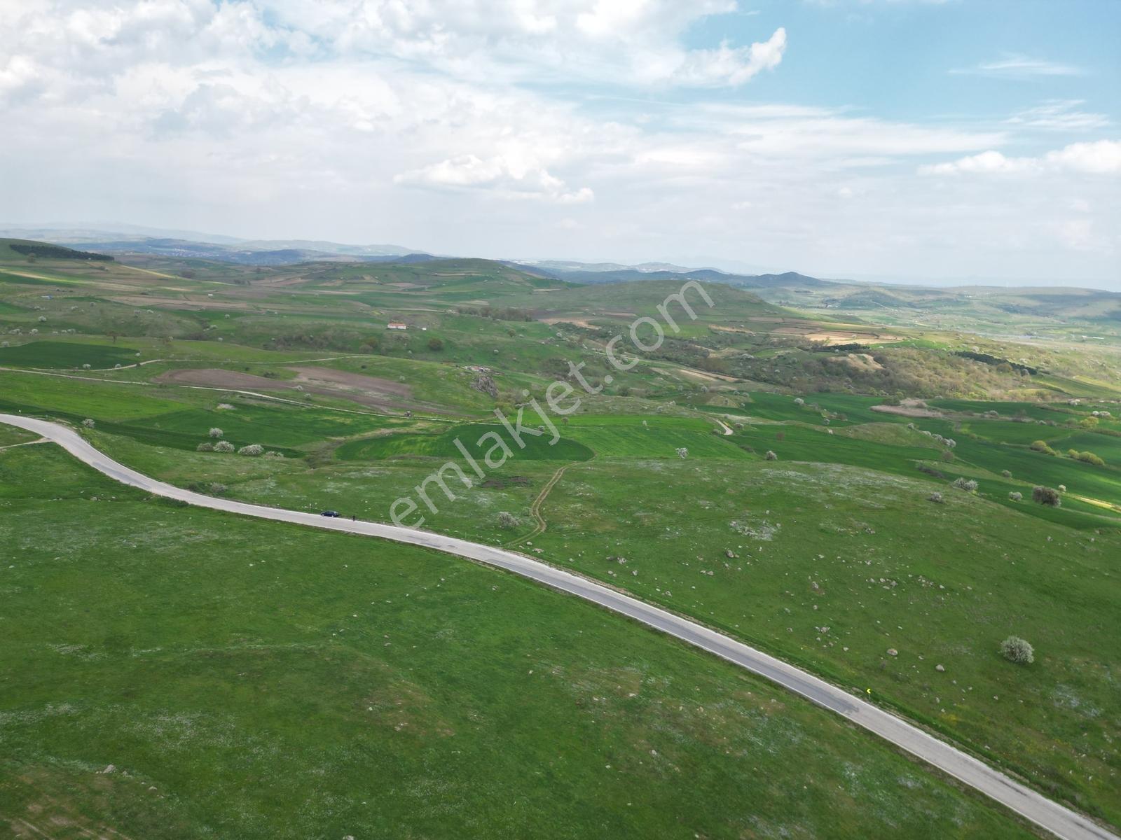 Asfalta Cephe, Balıkesir Merkeze 13 Km Mesafede Yatırım Fırsatı - Görsel 20
