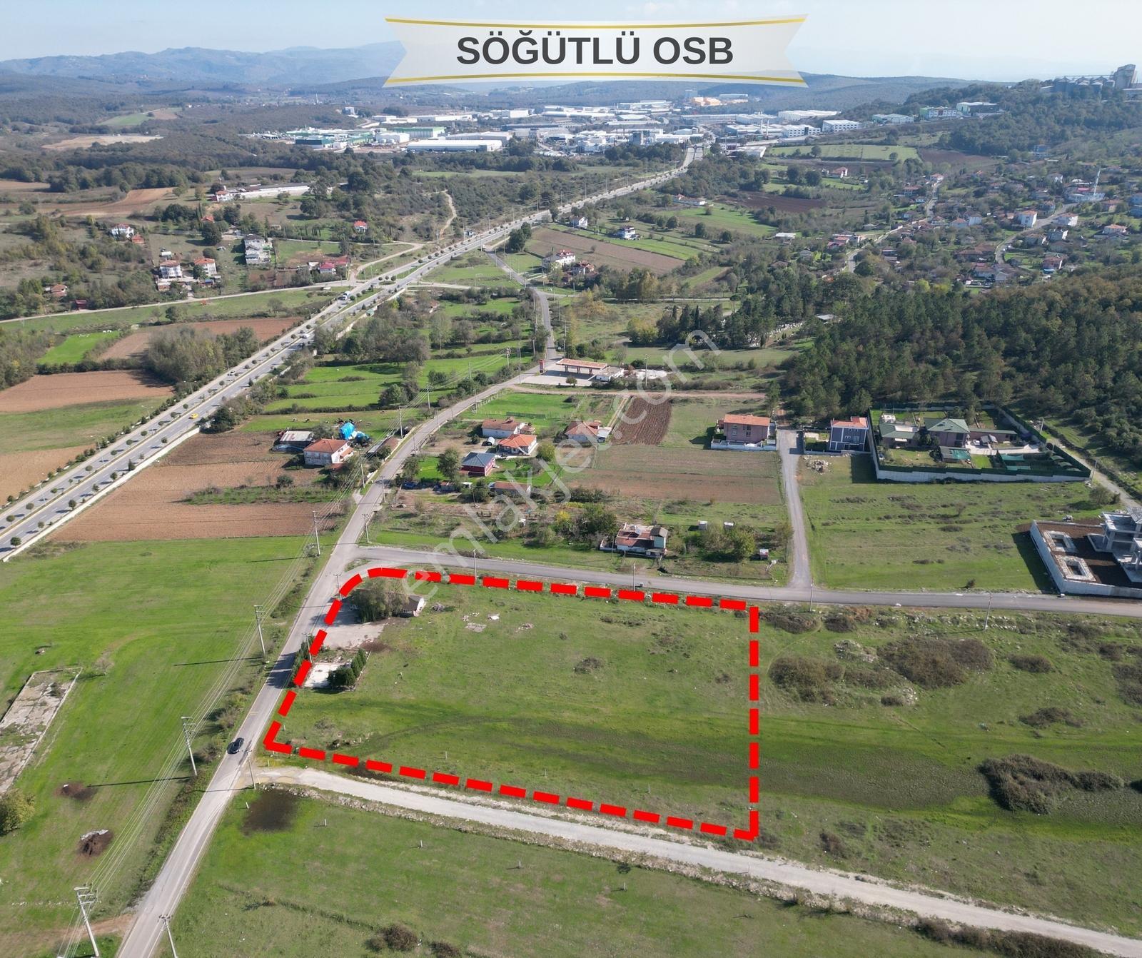 Söğütlü Osb'ye Giden Yol Üstünde Harika Konumda Kupon Arsa
