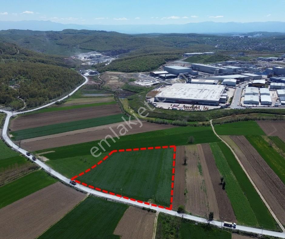 Ferizli Osb'nin Lojistik Planlama Alanında 14660m2 Satılık Tarla - Görsel 5