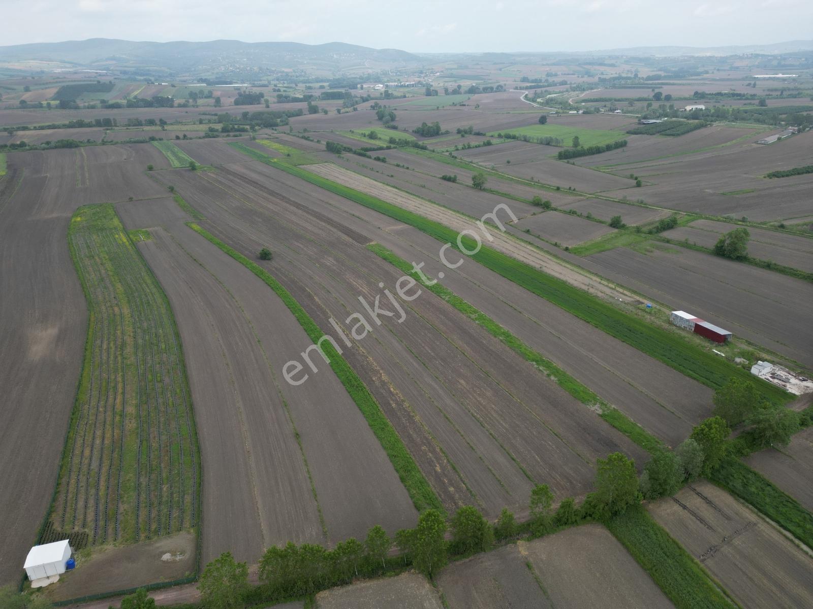 Söğütlü Merkeze 2km Mesafede 9020m2 Resmi Yolan Olan Tarla - Görsel 3