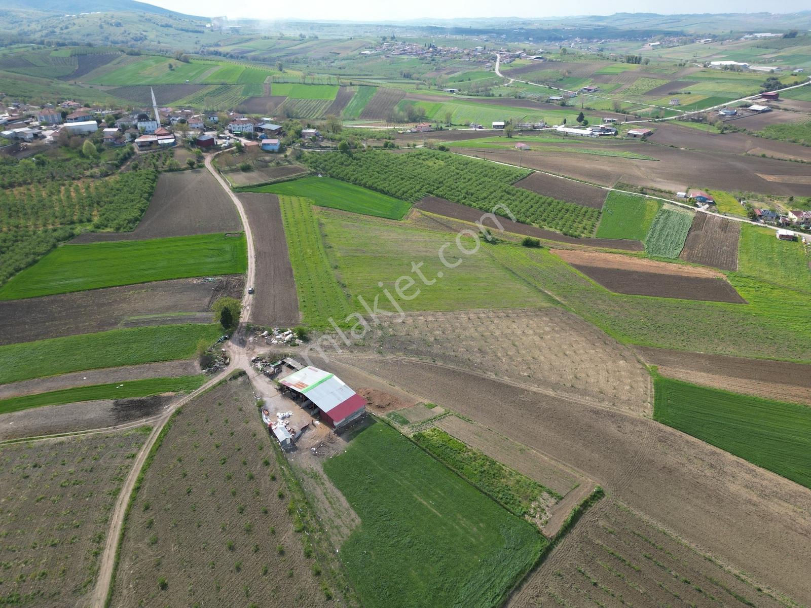 Köy Merkezinde İmarın Sınırında 1382m2 Sıraköy'de Yatırım Fırsat - Görsel 3