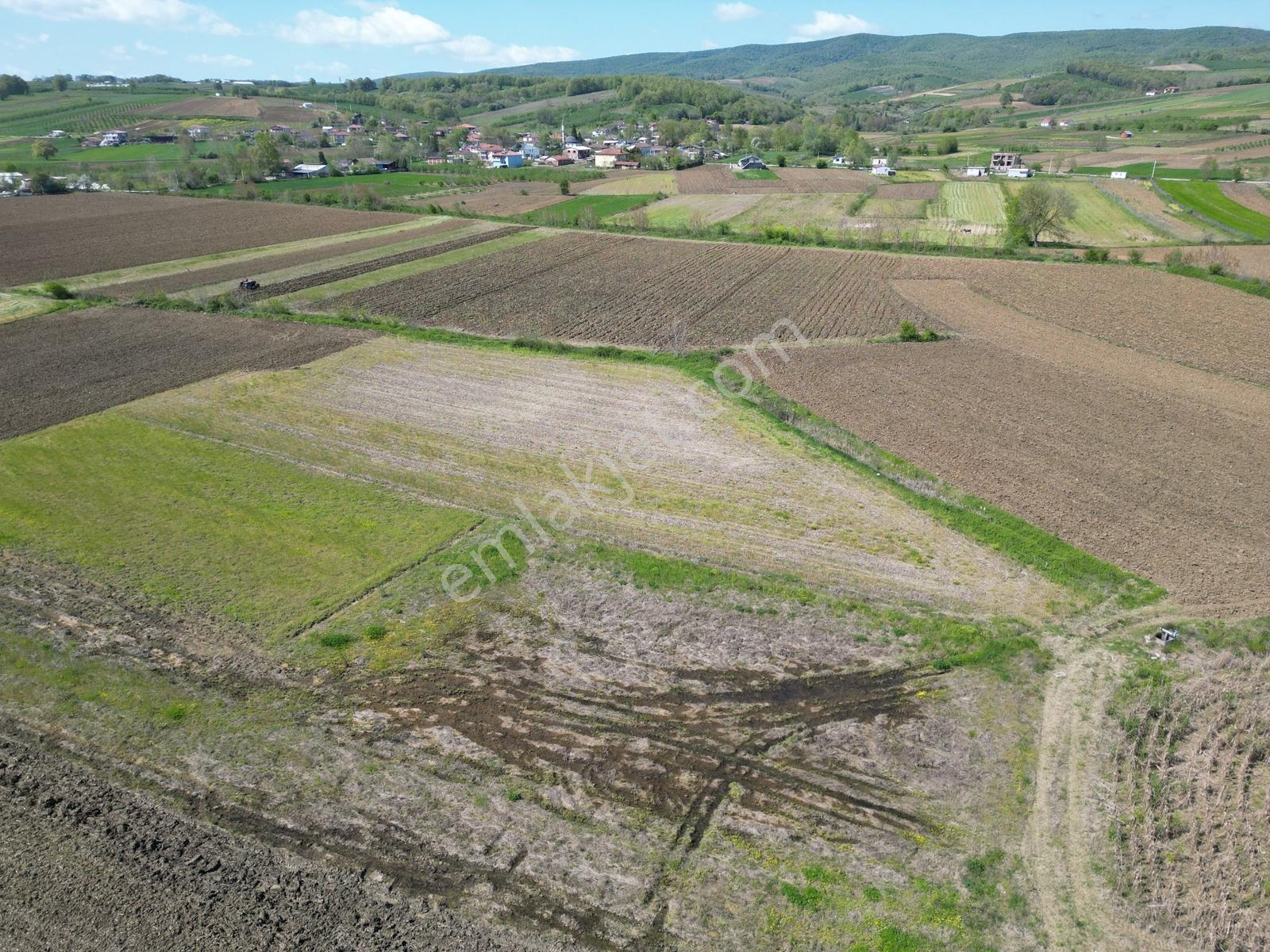 İmamlar Köyünde Toprak Yola Cepheli 2765m2 Yatırımlık Tarla - Görsel 7