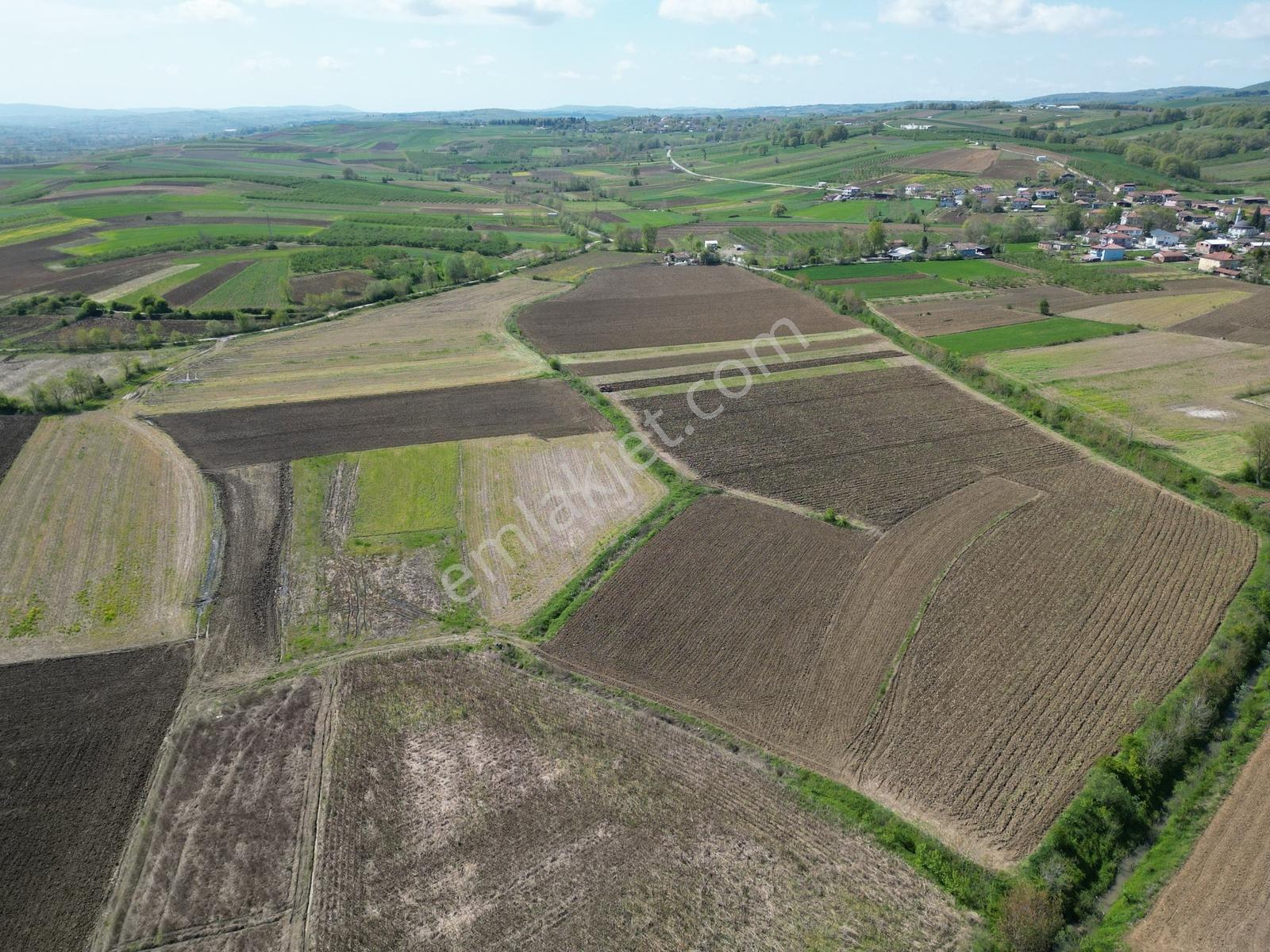 İmamlar Köyünde Toprak Yola Cepheli 2765m2 Yatırımlık Tarla - Görsel 4