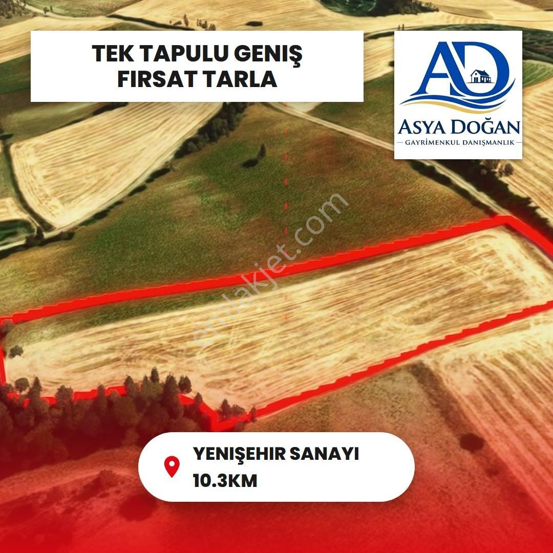 Bursa Yenişehir Çelebi'de Kadastro Yollu Satılık Tarla - Görsel 4