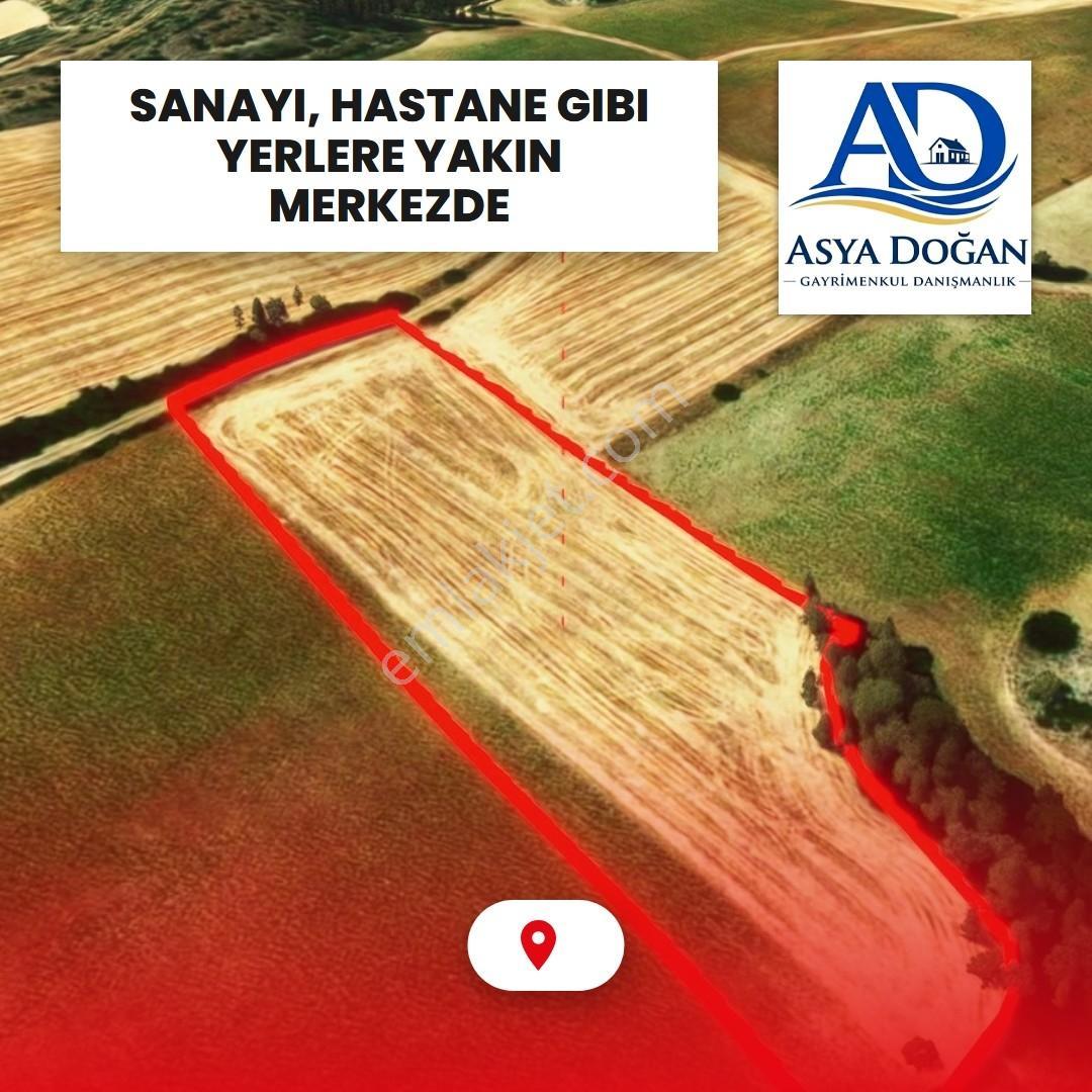 Bursa Yenişehir Çelebi'de Kadastro Yollu Satılık Tarla - Görsel 6