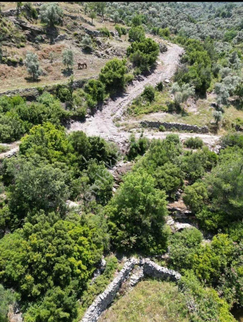 Milas Çiftlik Mahallesi’nde Satılık Yatırımlık Tarla - Görsel 3