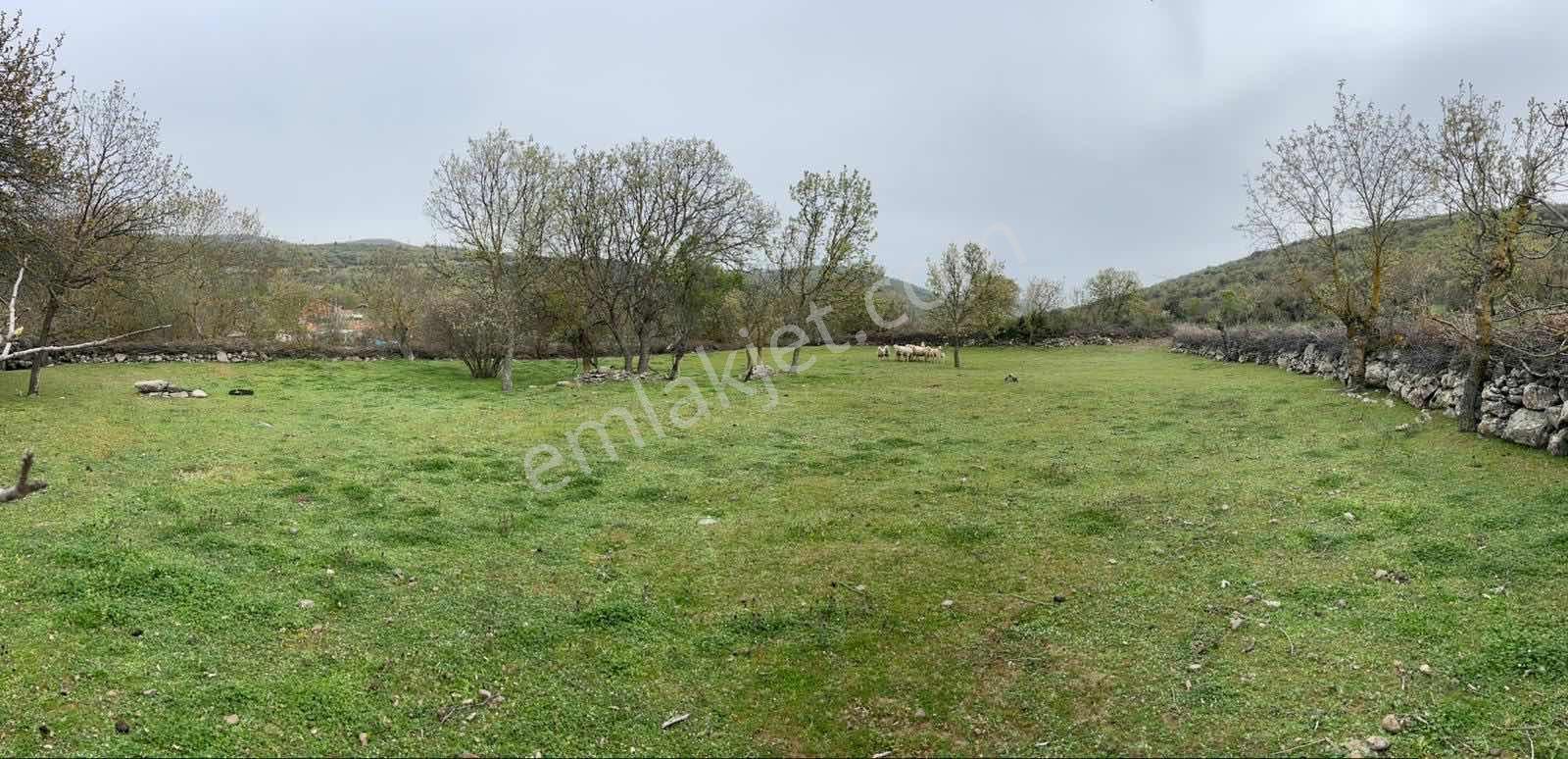 İsmailli'de Huzurlu Bir Yaşam Kurulabilecek 828m2 Geniş Arsa - Görsel 2