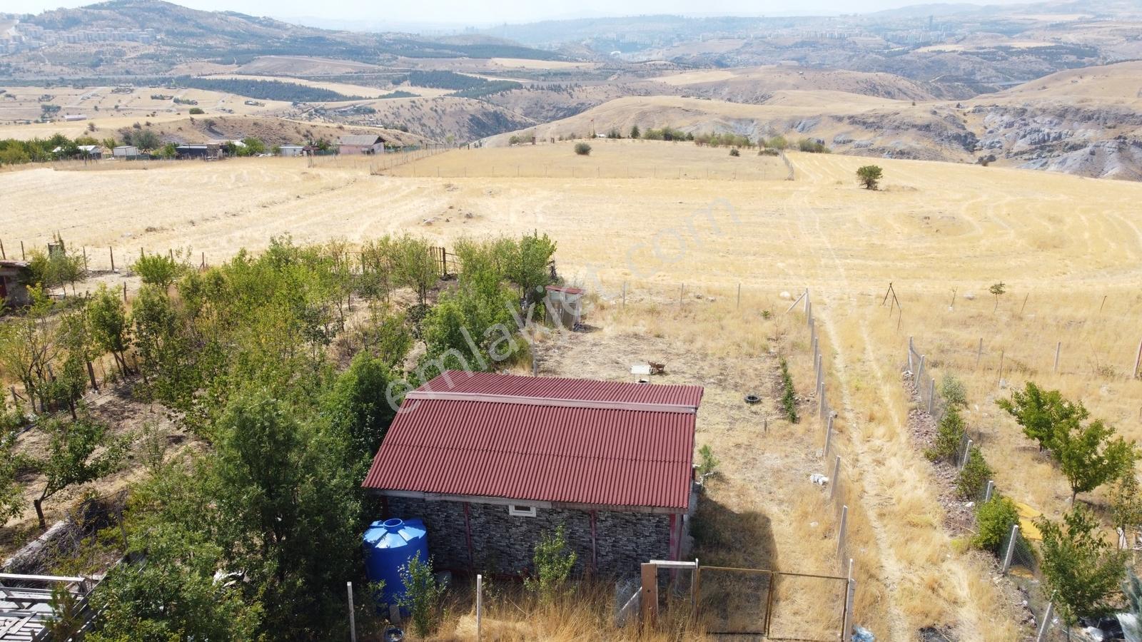 -*karapürçek Te Manzaralı Tel Örgülü Konteynerli Tapulu Bahçe-* - Görsel 12