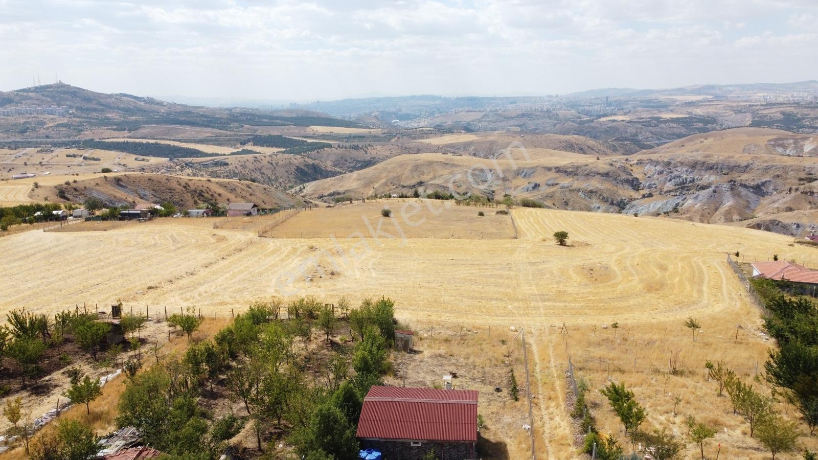 -*karapürçek Te Manzaralı Tel Örgülü Konteynerli Tapulu Bahçe-* - Görsel 23