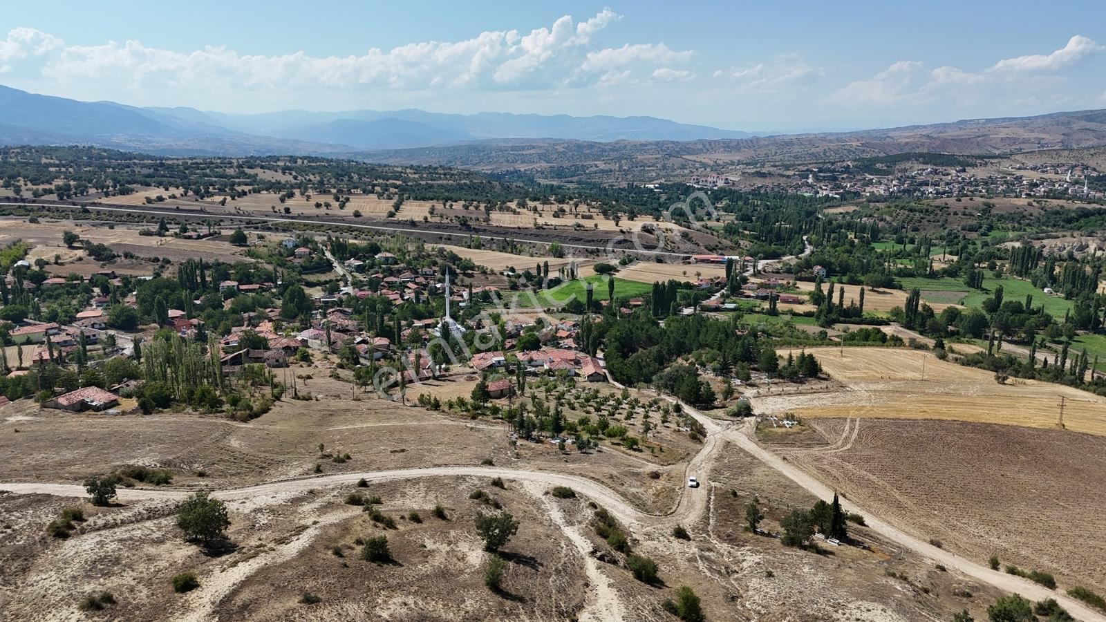 Amasya / Hamamözü / Damladere De 1.170 M² Müstakil Tarla - Görsel 7