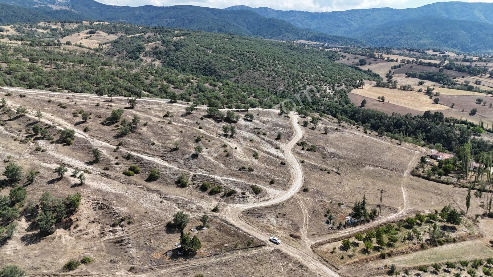 Amasya / Hamamözü / Damladere De 1.170 M² Müstakil Tarla - Görsel 10