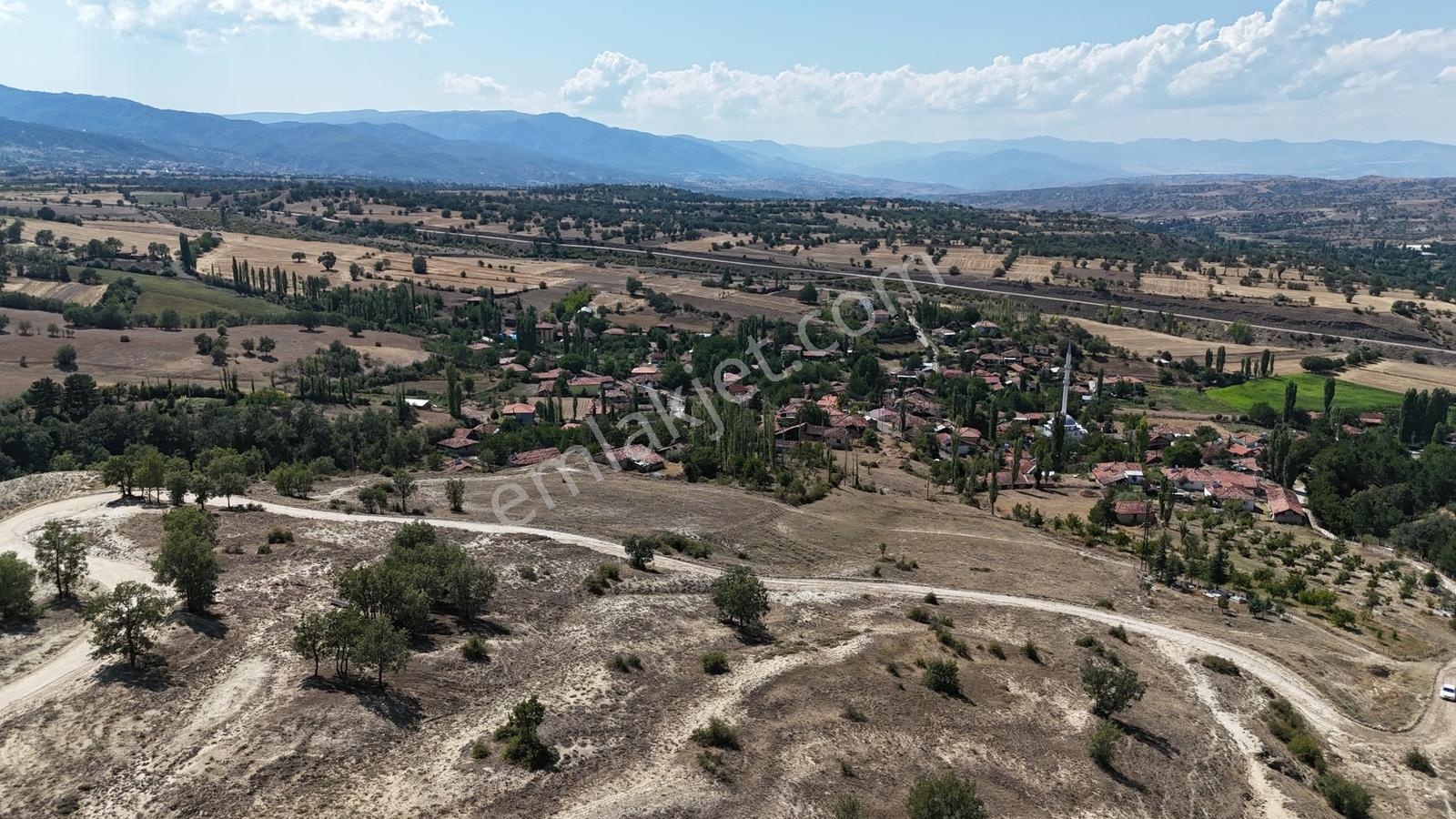Amasya / Hamamözü / Damladere De 1.170 M² Müstakil Tarla - Görsel 8