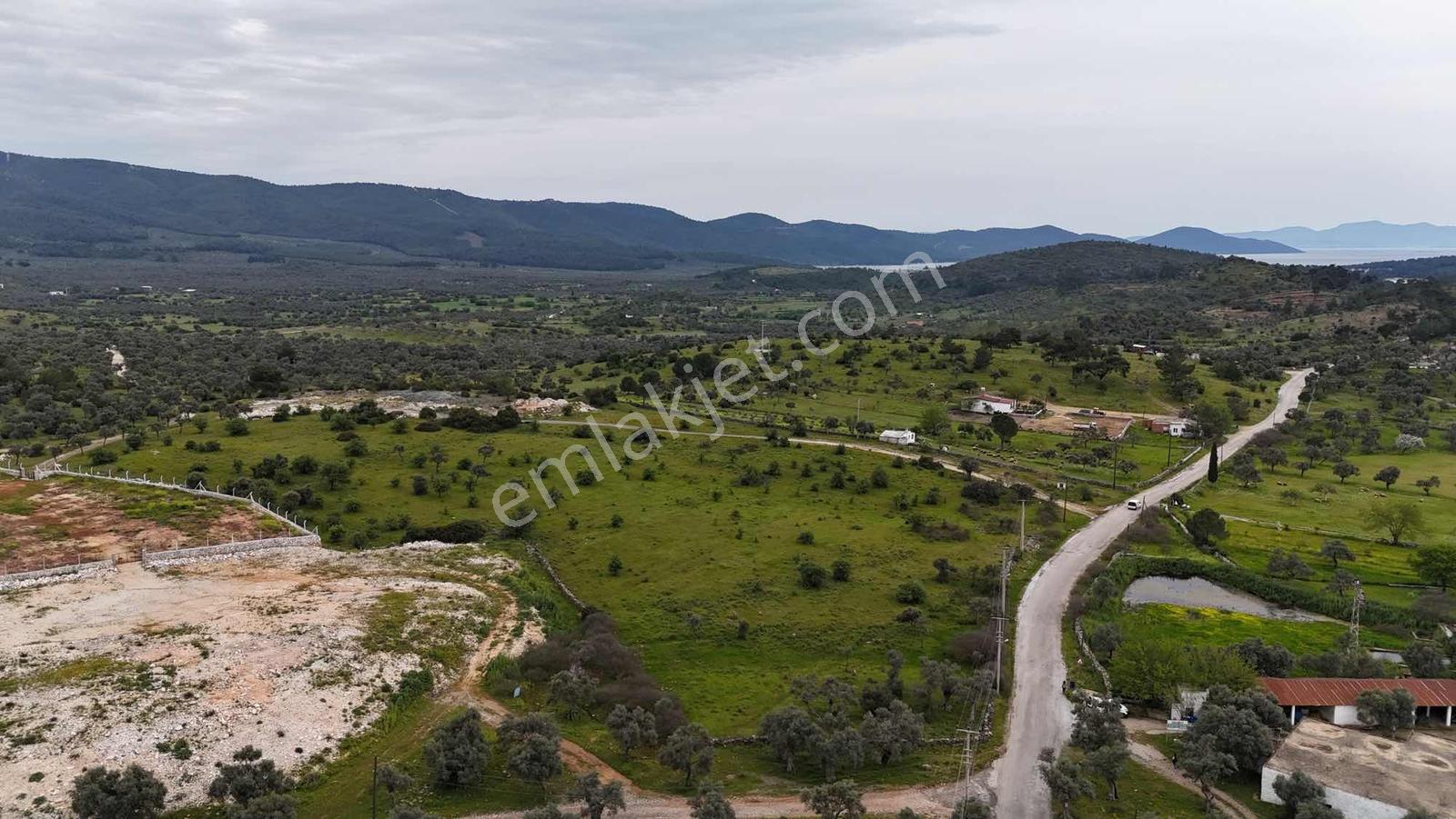 Köşe Konumda 10.000m2 Tarla Yatırım Fırsatı - Görsel 2