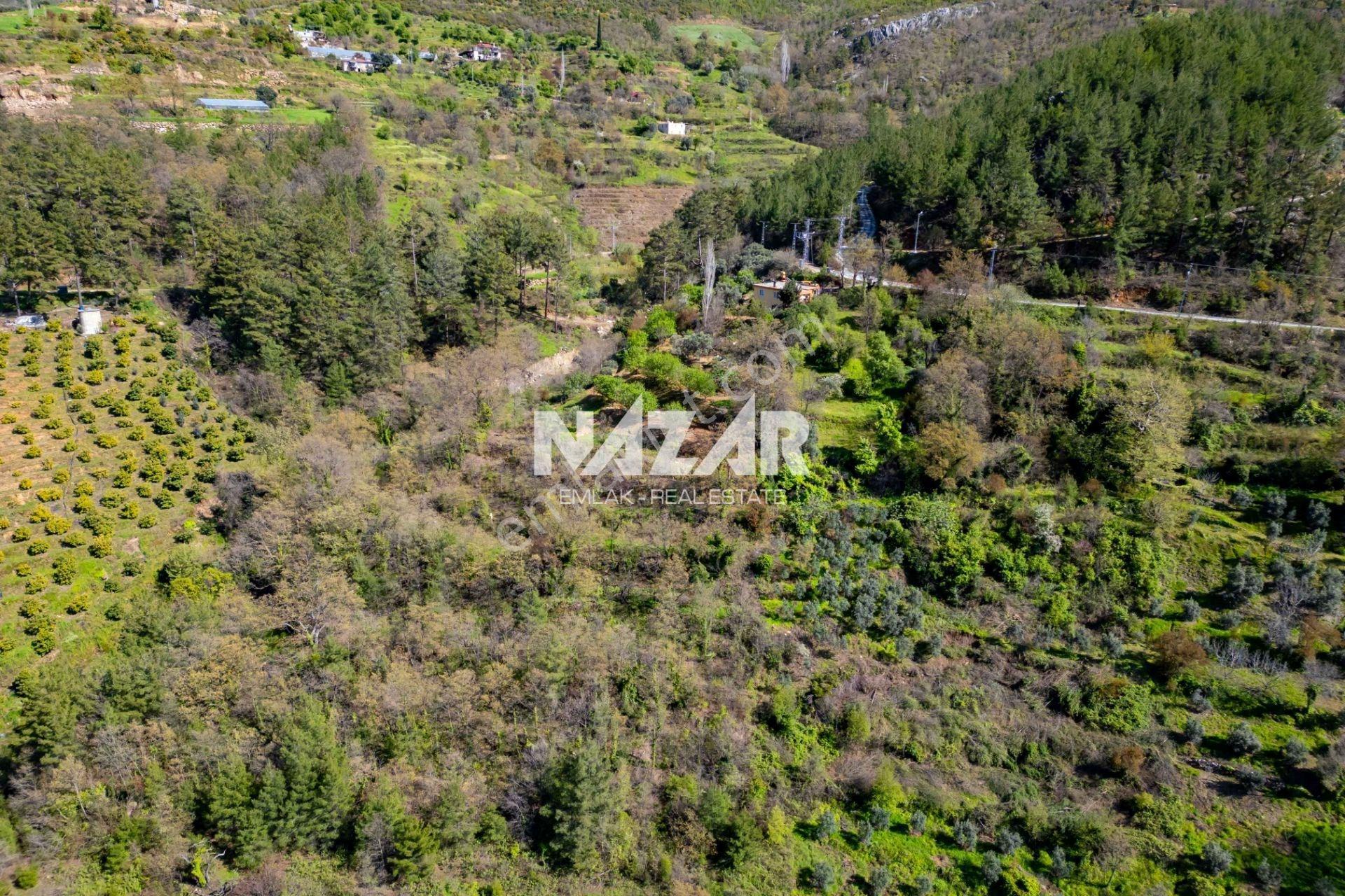 Alanya Sapadere’de 1.813 M² Satılık Tarla - Görsel 15