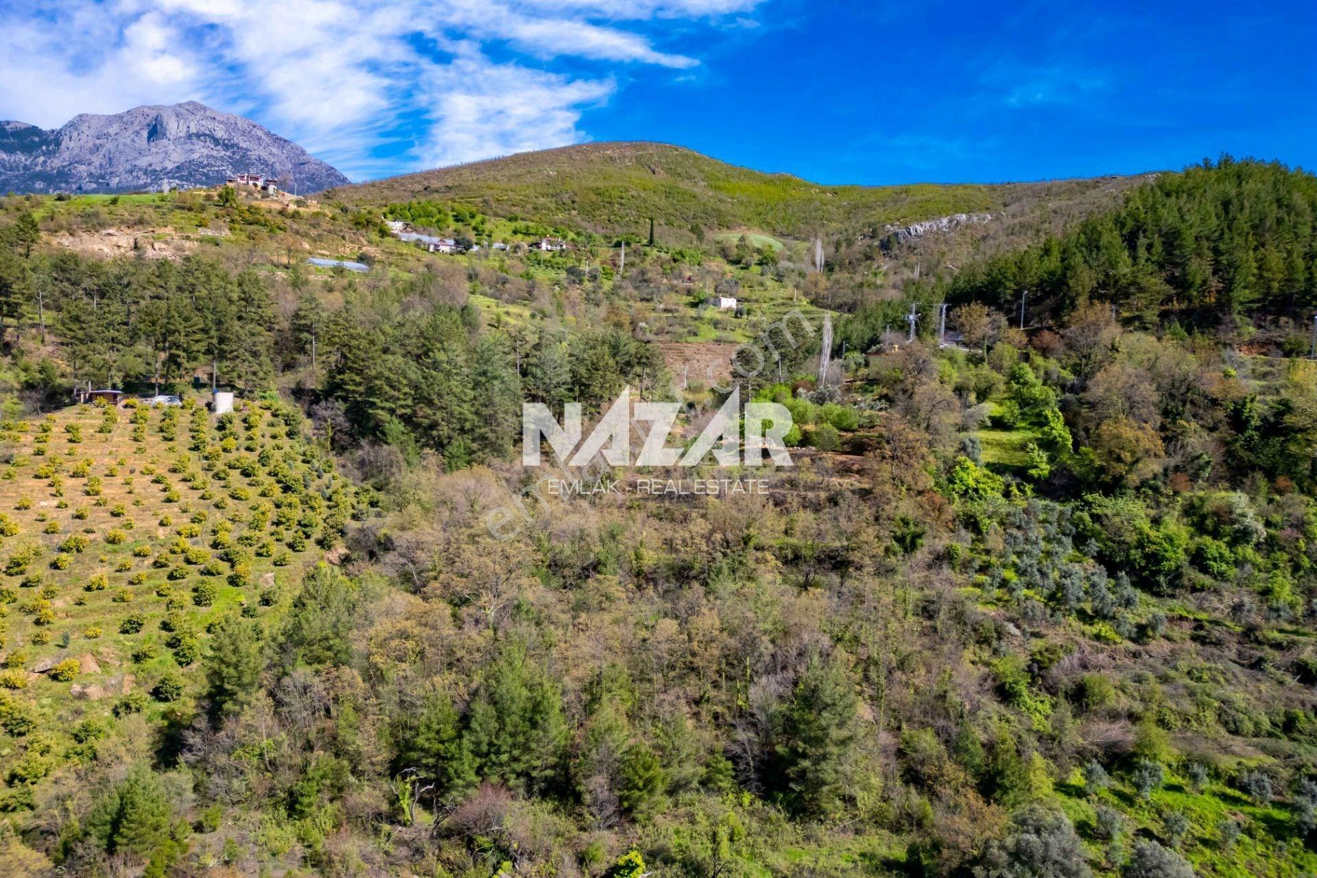 Alanya Sapadere’de 1.813 M² Satılık Tarla - Görsel 10