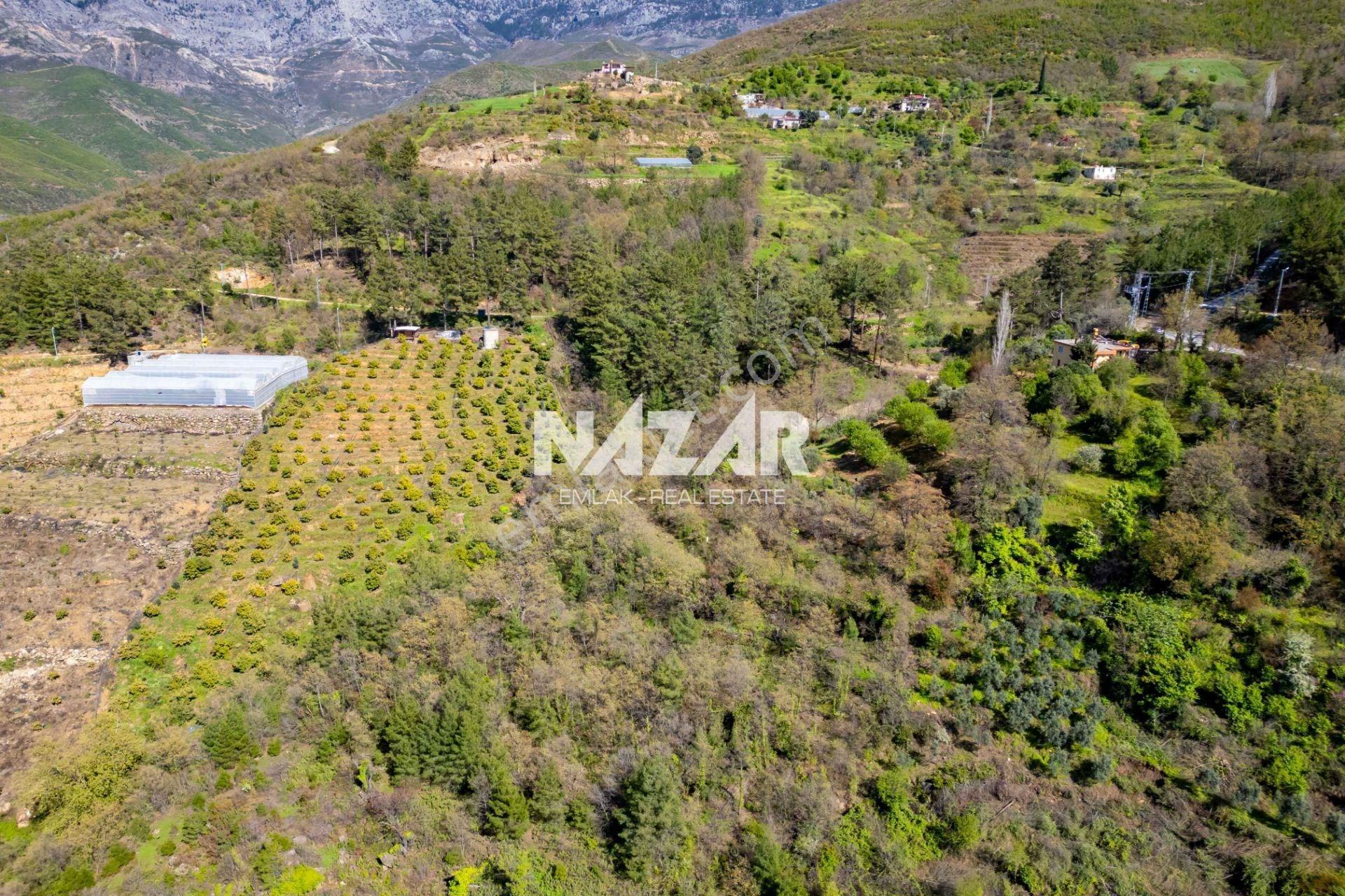 Alanya Sapadere’de 1.813 M² Satılık Tarla - Görsel 16