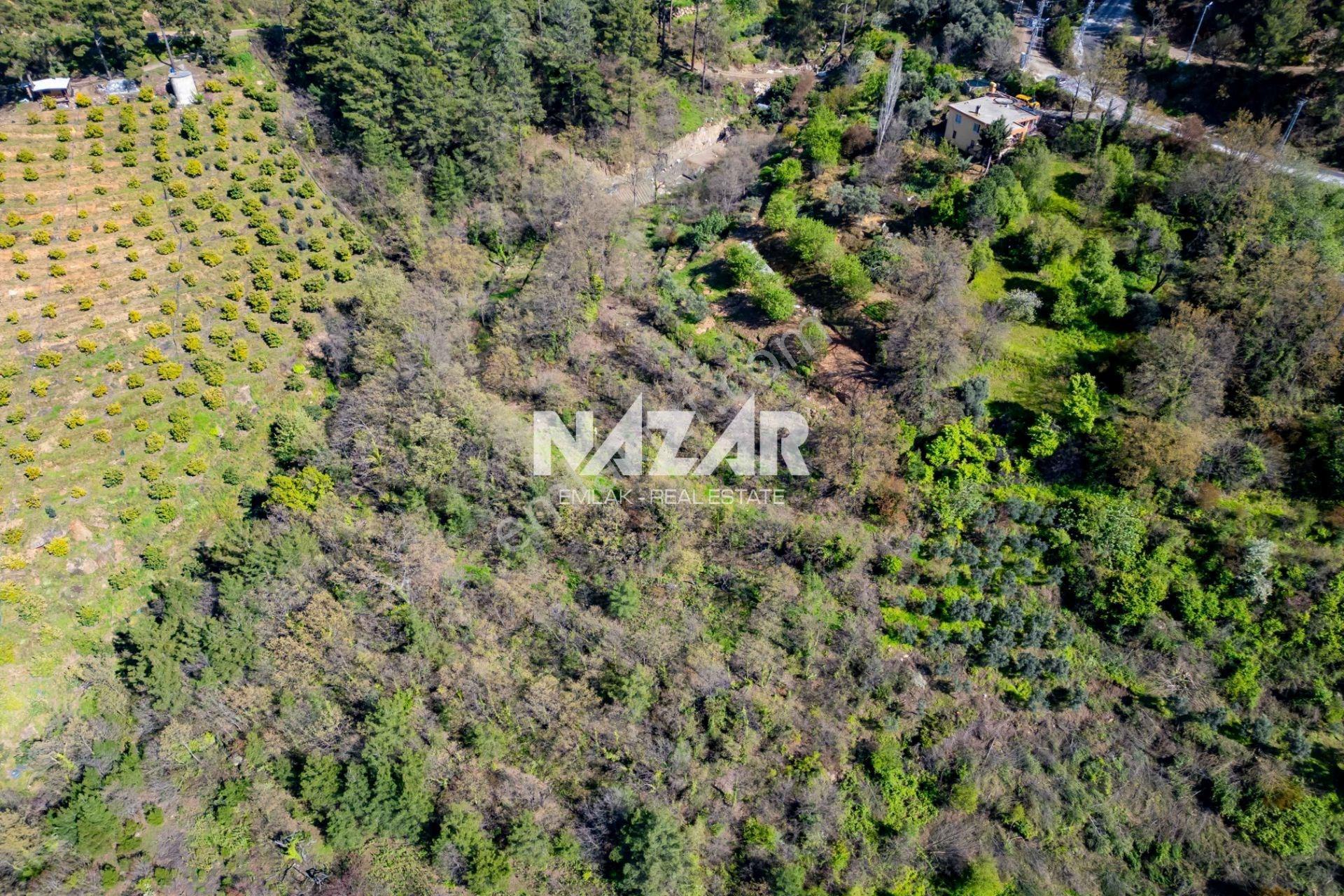 Alanya Sapadere’de 1.813 M² Satılık Tarla - Görsel 17