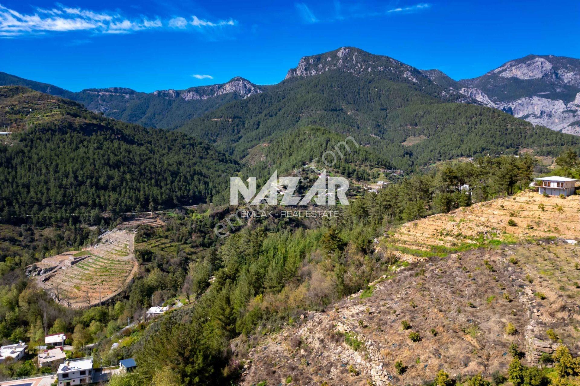 Alanya Sapadere’de 1.813 M² Satılık Tarla - Görsel 6