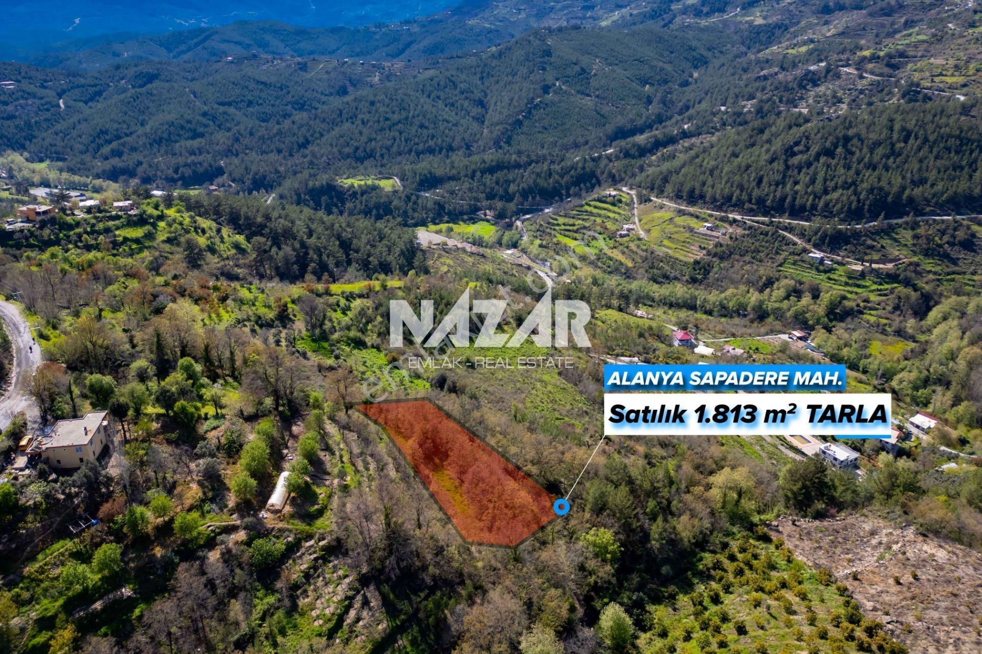 Alanya Sapadere’de 1.813 M² Satılık Tarla