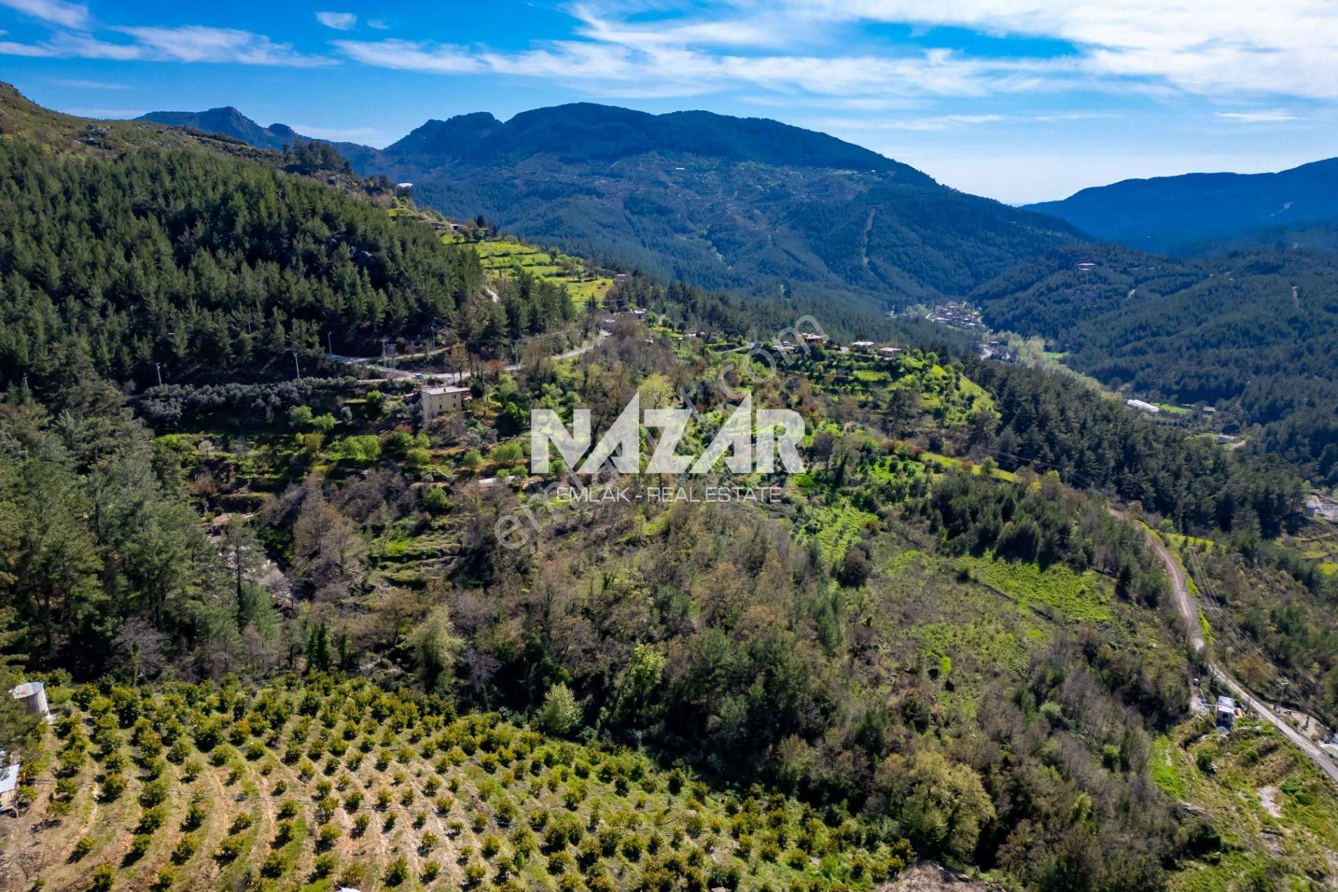 Alanya Sapadere’de 1.813 M² Satılık Tarla - Görsel 18