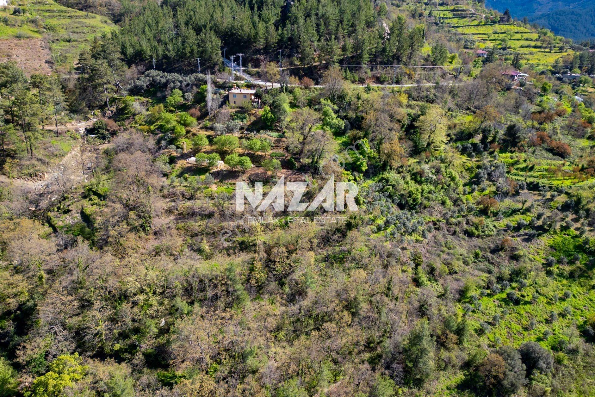 Alanya Sapadere’de 1.813 M² Satılık Tarla - Görsel 13