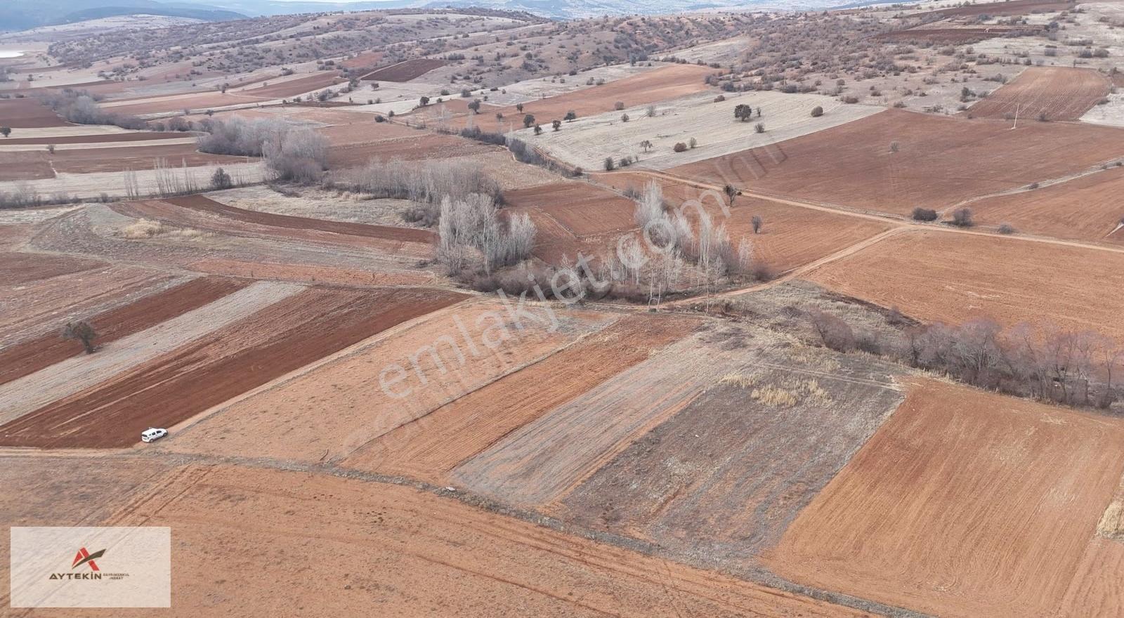 Ilgın Belekler Mahallesinde 1.644 M² Müstakil Tapulu Tarla - Görsel 4