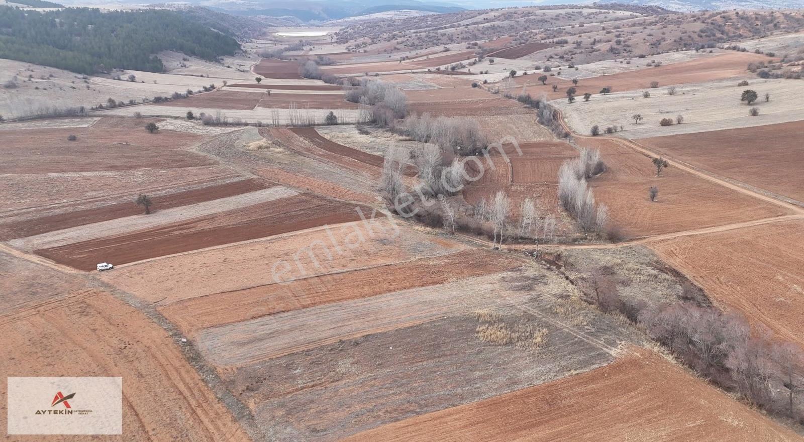 Ilgın Belekler Mahallesinde 1.644 M² Müstakil Tapulu Tarla - Görsel 6