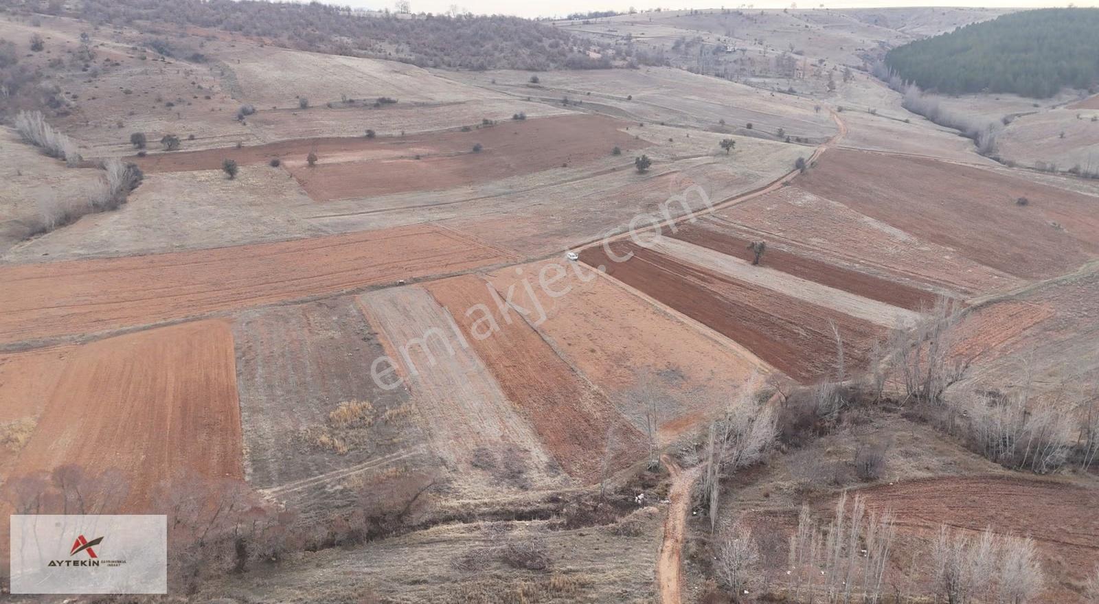 Ilgın Belekler Mahallesinde 1.644 M² Müstakil Tapulu Tarla - Görsel 2