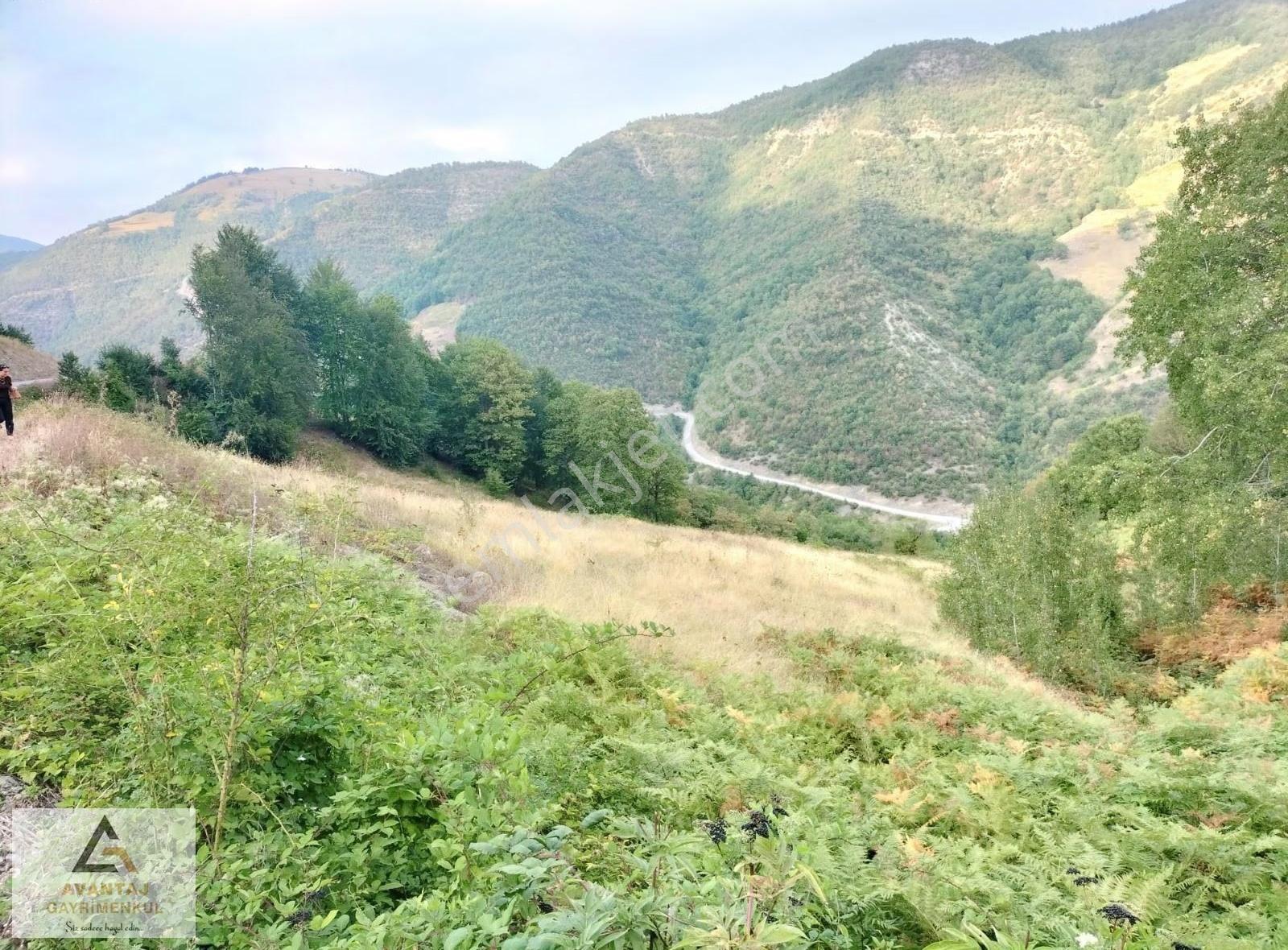 Avantaj Gayrimenkul'den Alaçam'da Satılık Tarla - Görsel 3