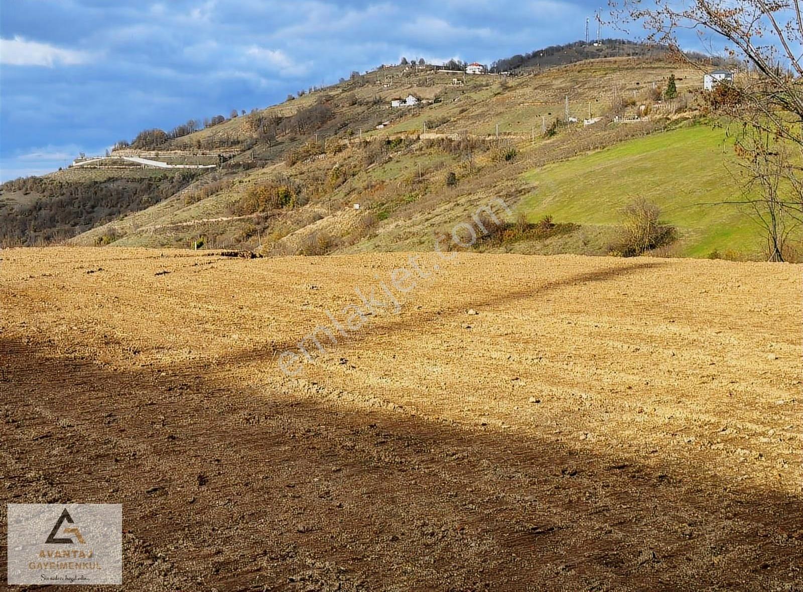 Avantaj Gayrimenkul'den Canik'te Köy İçi İmarlı Satılık Tarla - Görsel 29